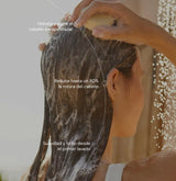 Apple & avocado nourishing shampoo - cabello seco