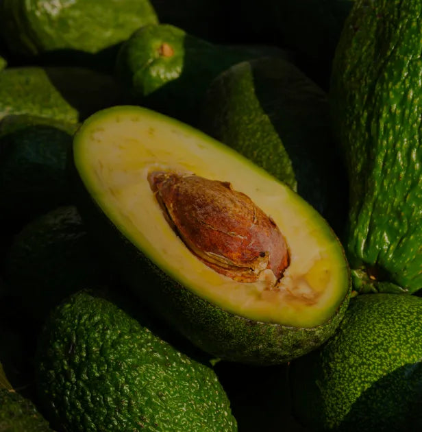 Aguacate