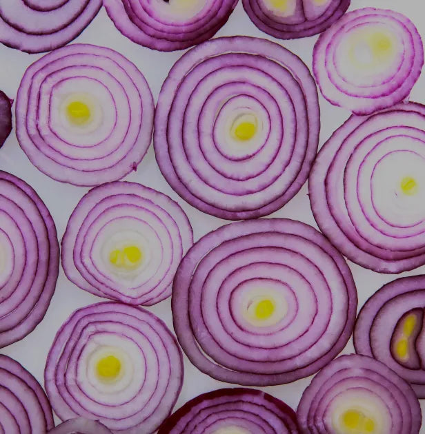 Cebolla