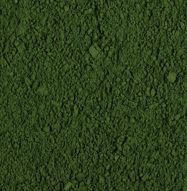 Alga chlorella