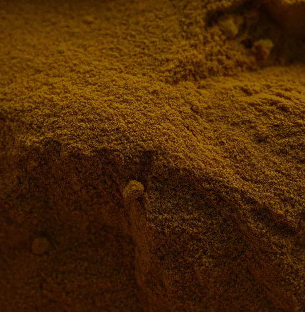Curry (Helichrysum italicum)