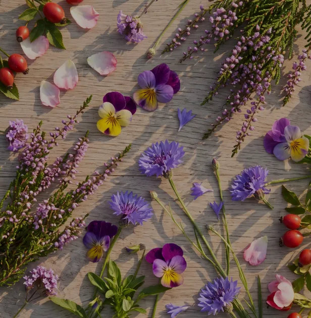 Extracto vegetal