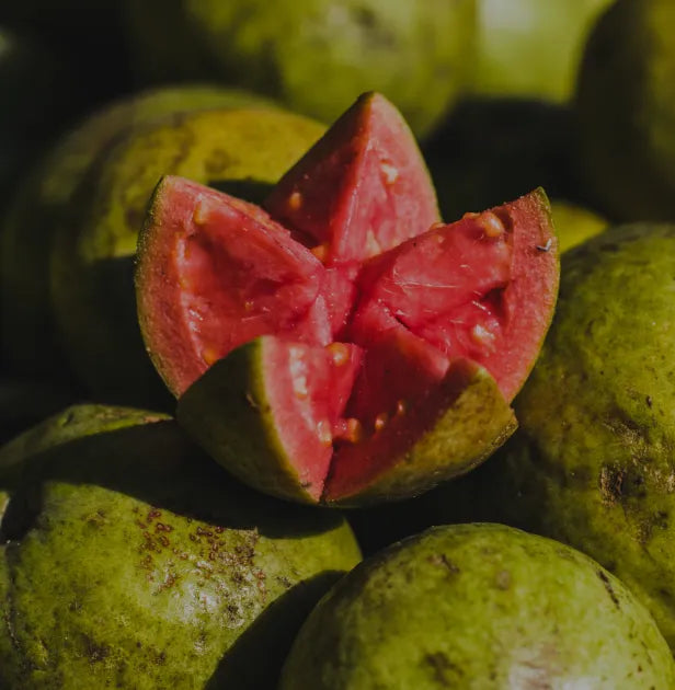Guayaba