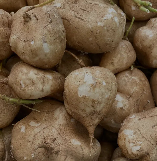 Maca