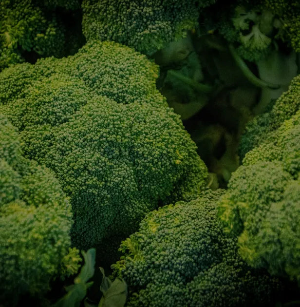 Brócoli