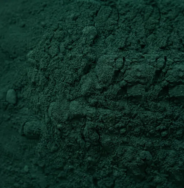 Espirulina