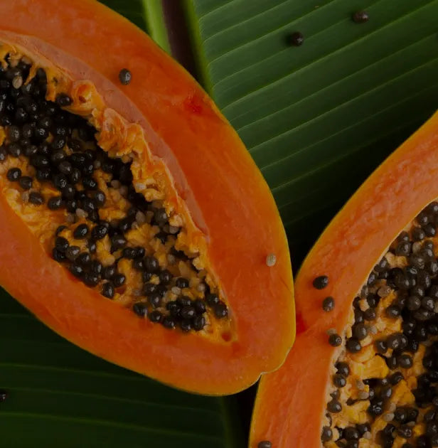 Papaya