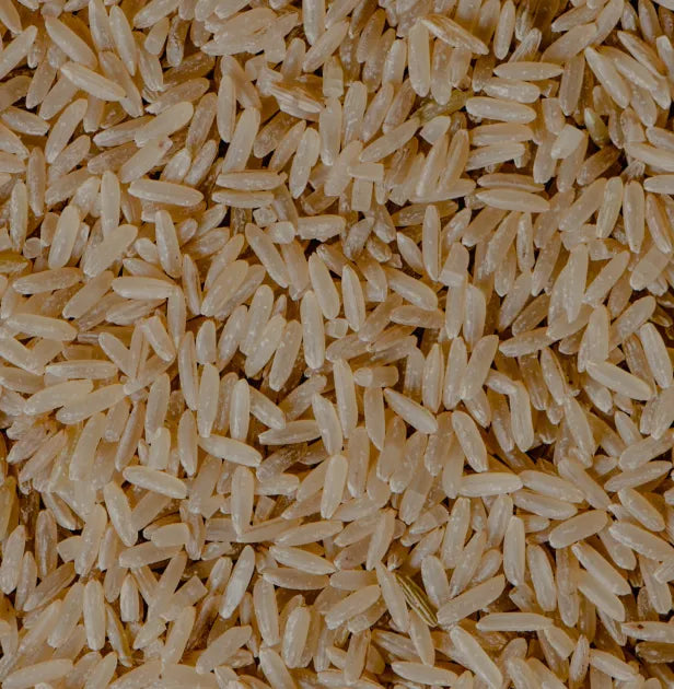 Arroz integral fermentado