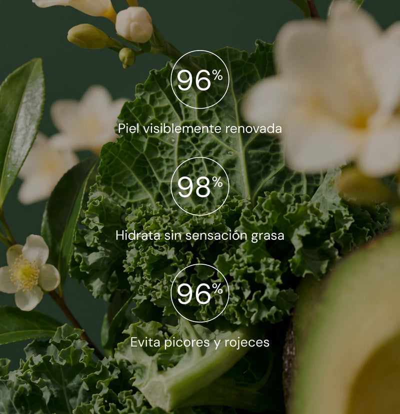 Pack "Green beauty" Face™